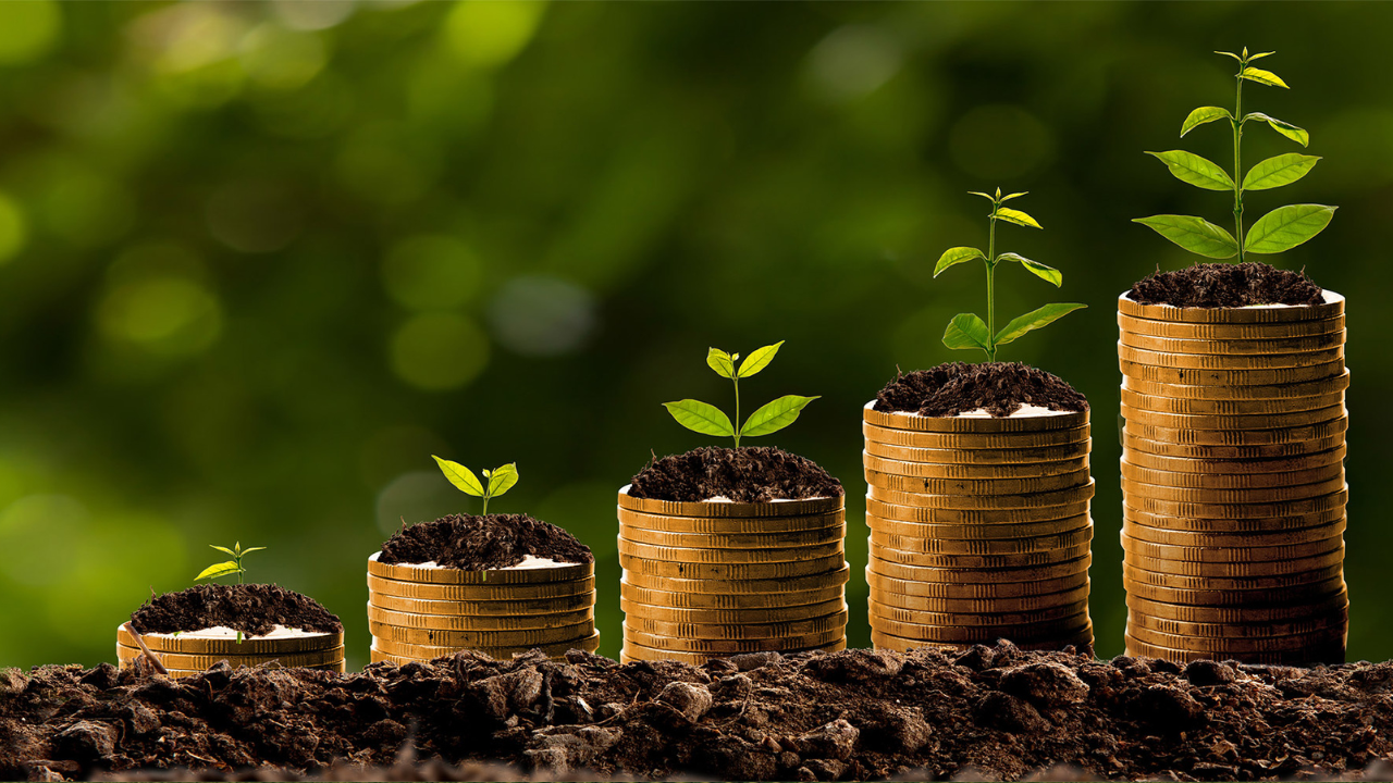 Crédito Rural 2025: Bancos privados devem ampliar recursos com foco em sustentabilidade